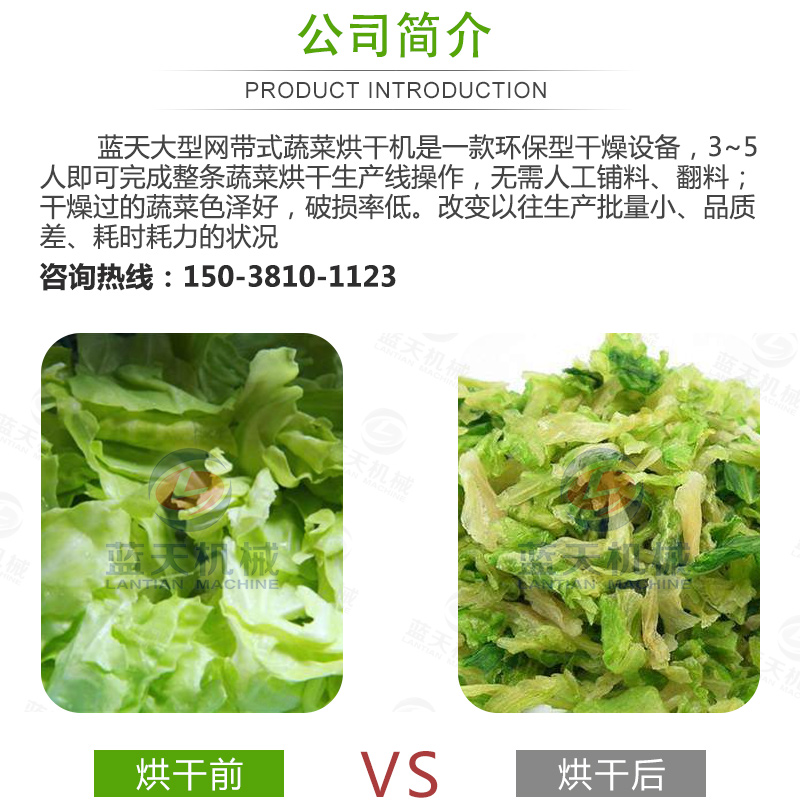蔬菜網(wǎng)帶烘干機產(chǎn)品介紹