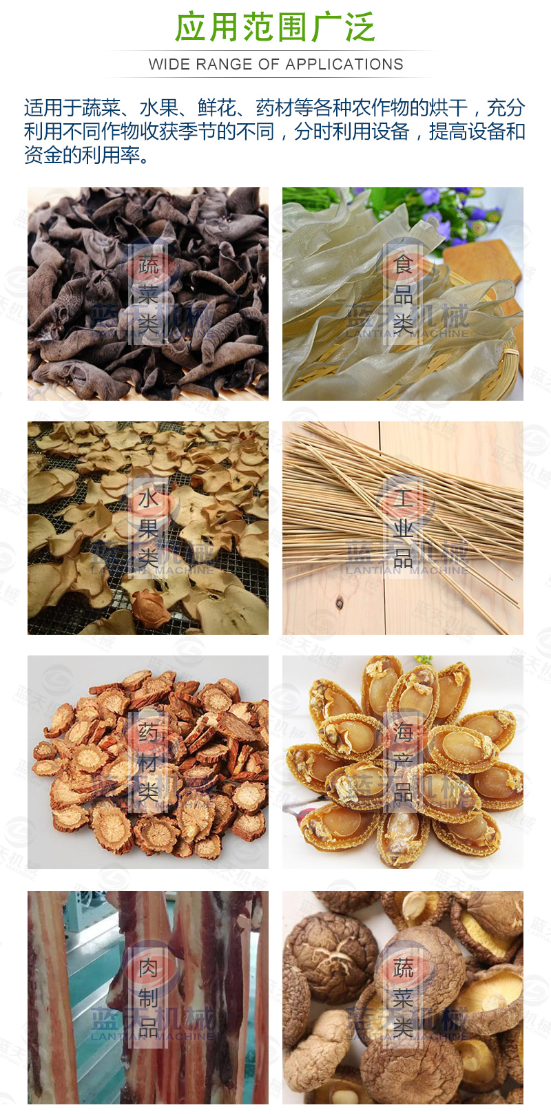 蔬菜網(wǎng)帶烘干機應(yīng)用范圍