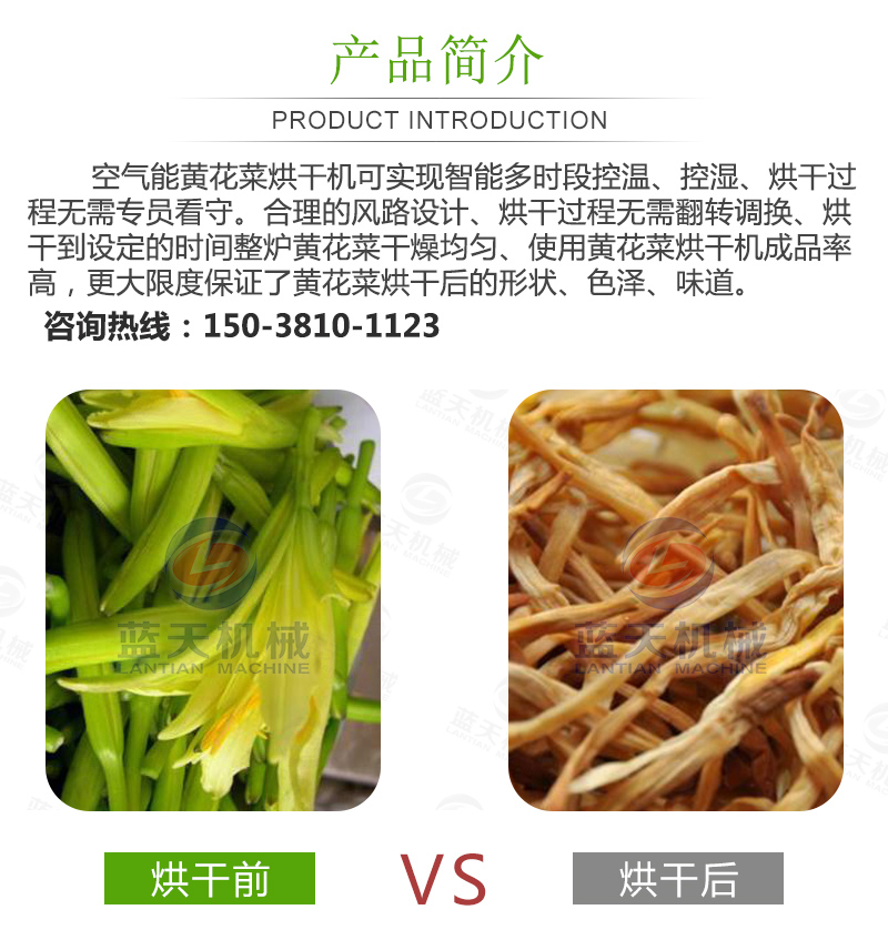 黃花菜網(wǎng)帶烘干機(jī)產(chǎn)品簡介