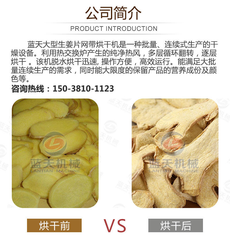 生姜片網帶烘干機產品簡介