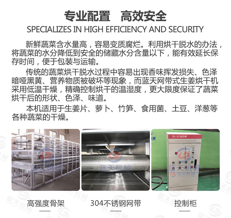 生姜片網帶烘干機專業(yè)配置