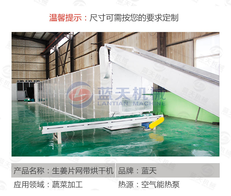 生姜片網帶烘干機產品參數