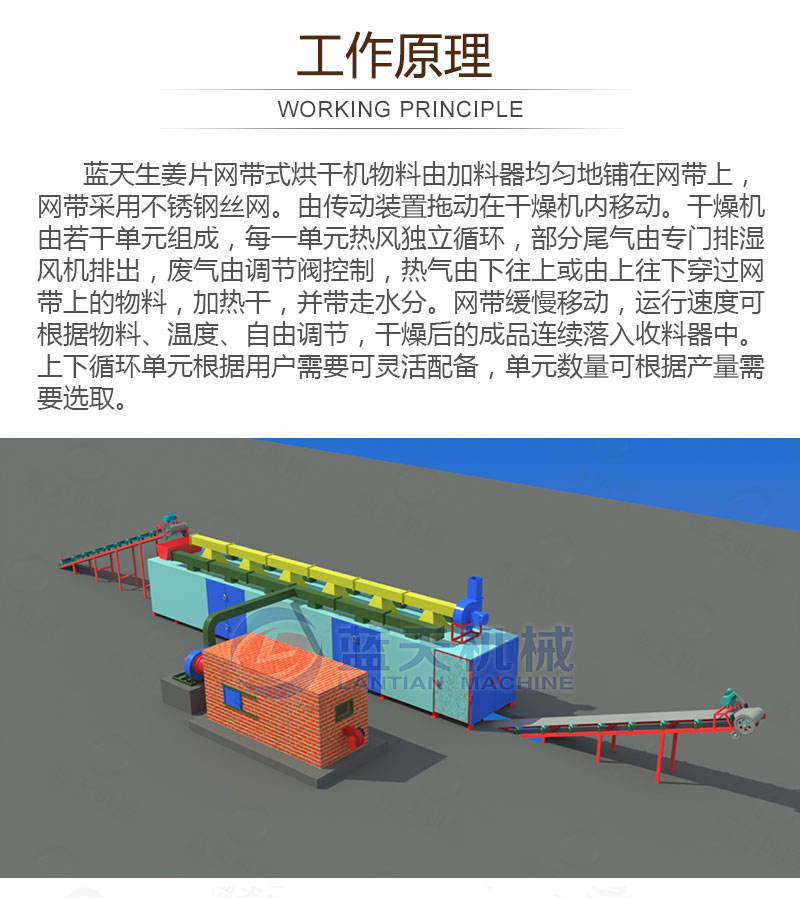 生姜片網帶烘干機工作原理