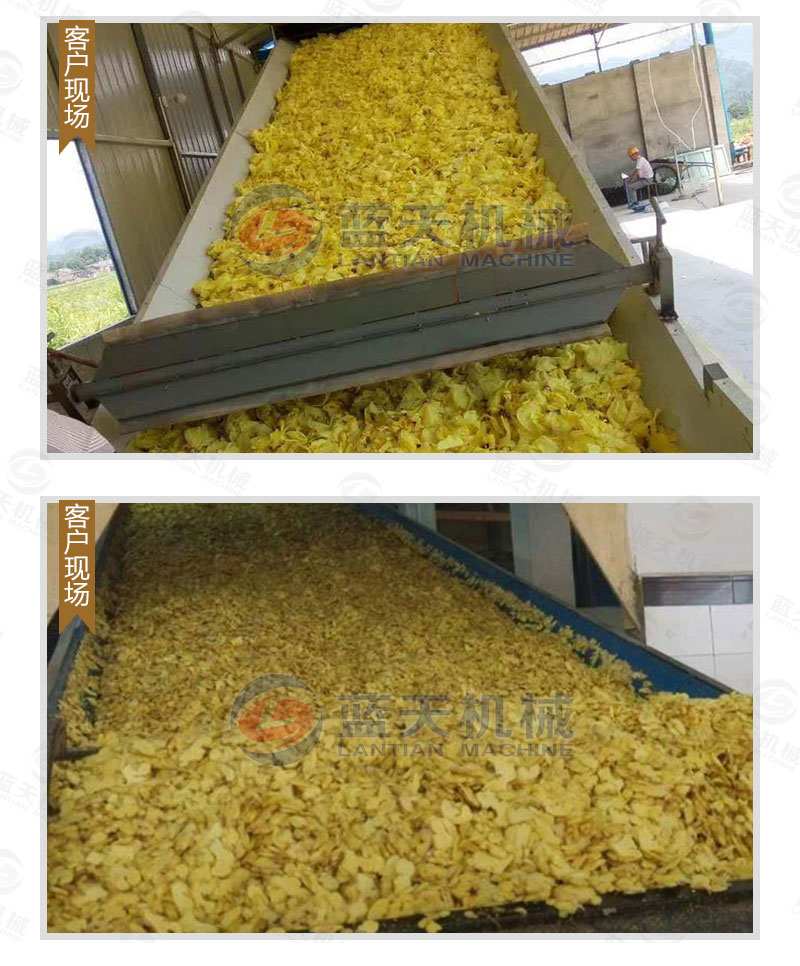 生姜片網帶烘干機用戶現(xiàn)場
