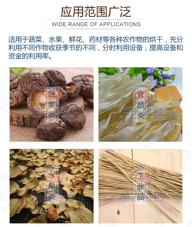 生姜片網帶烘干機應用范圍