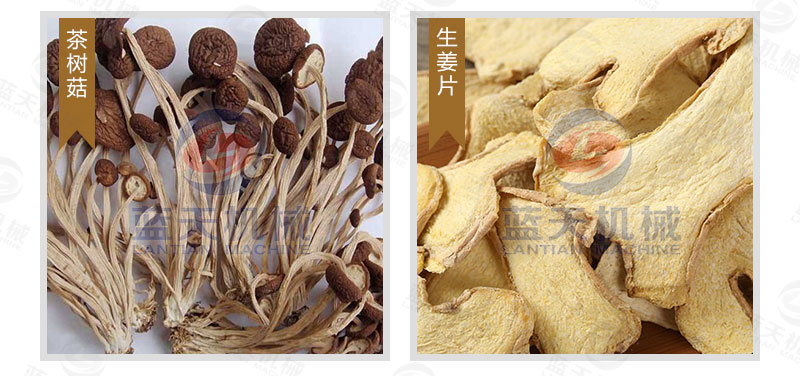 生姜片網帶烘干機烘干效果