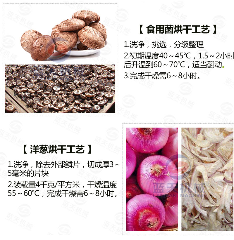 生姜片網帶烘干機常見烘干工藝