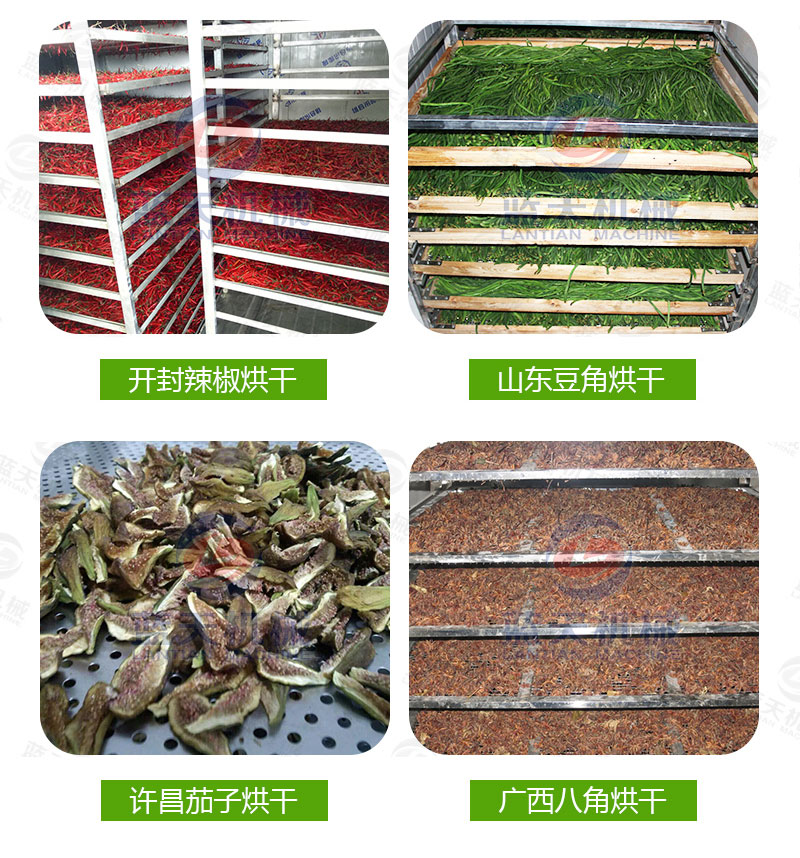  大蒜片網(wǎng)帶烘干機(jī)廠家實(shí)拍