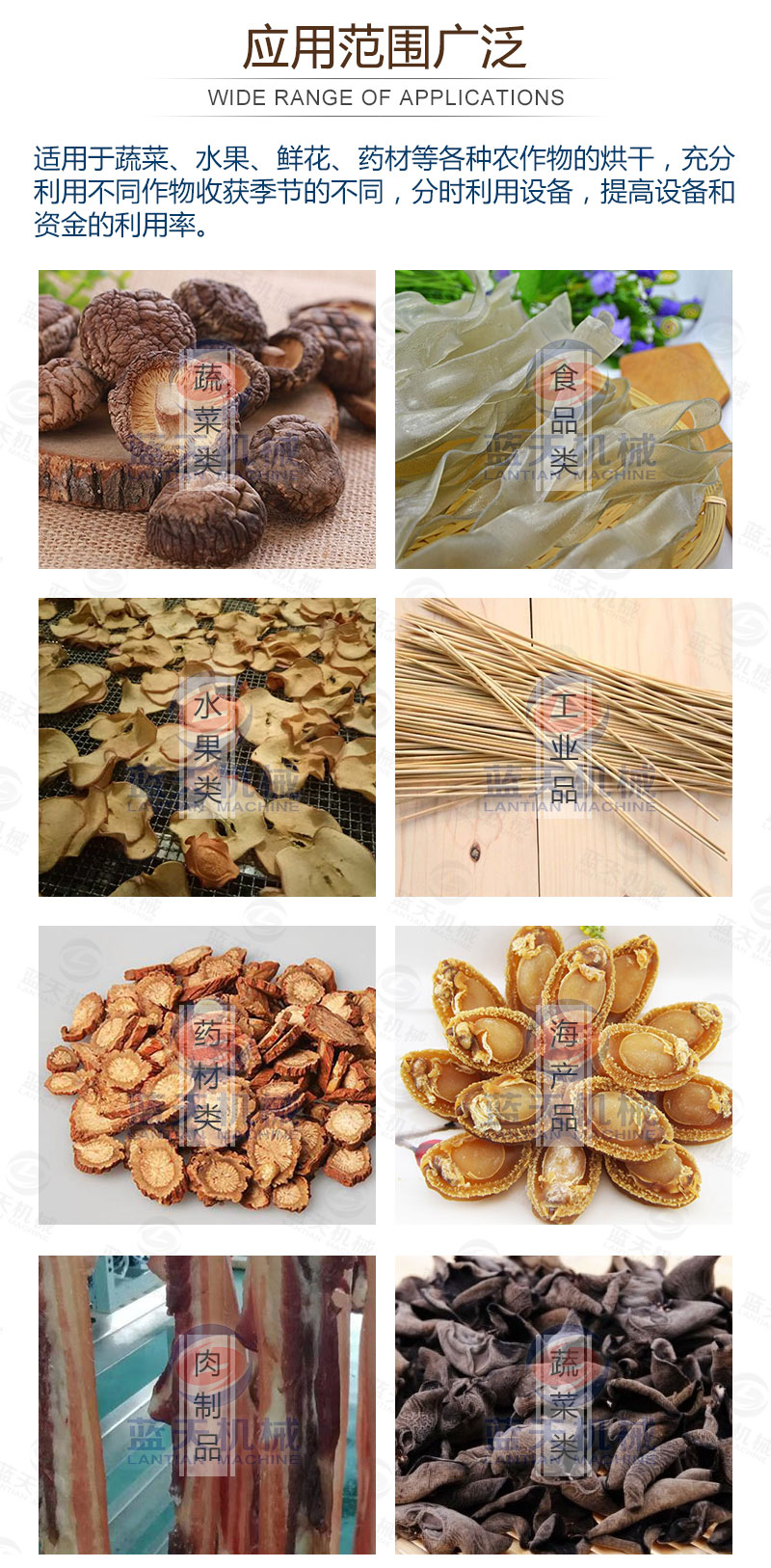 食用菌網(wǎng)帶烘干機(jī)應(yīng)用范圍