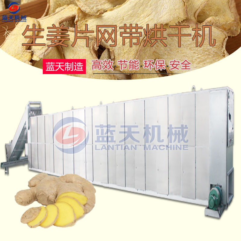 生姜片網帶烘干機