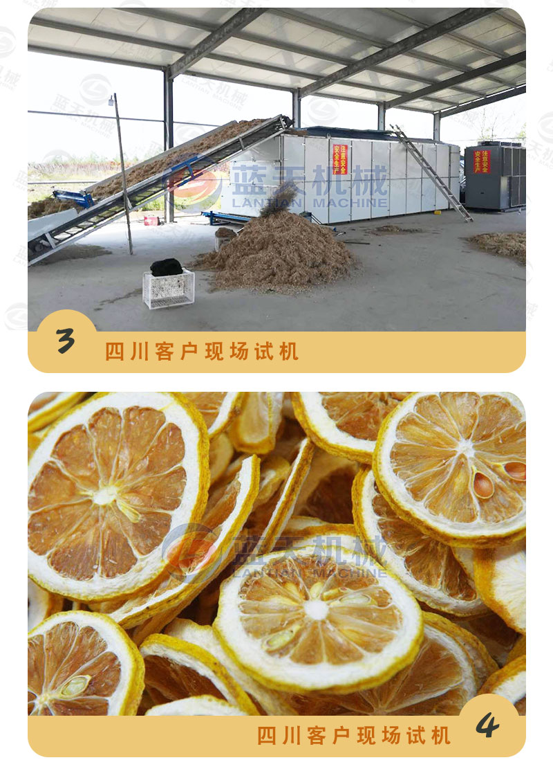檸檬片網(wǎng)帶烘干機(jī)試機(jī)現(xiàn)場(chǎng)