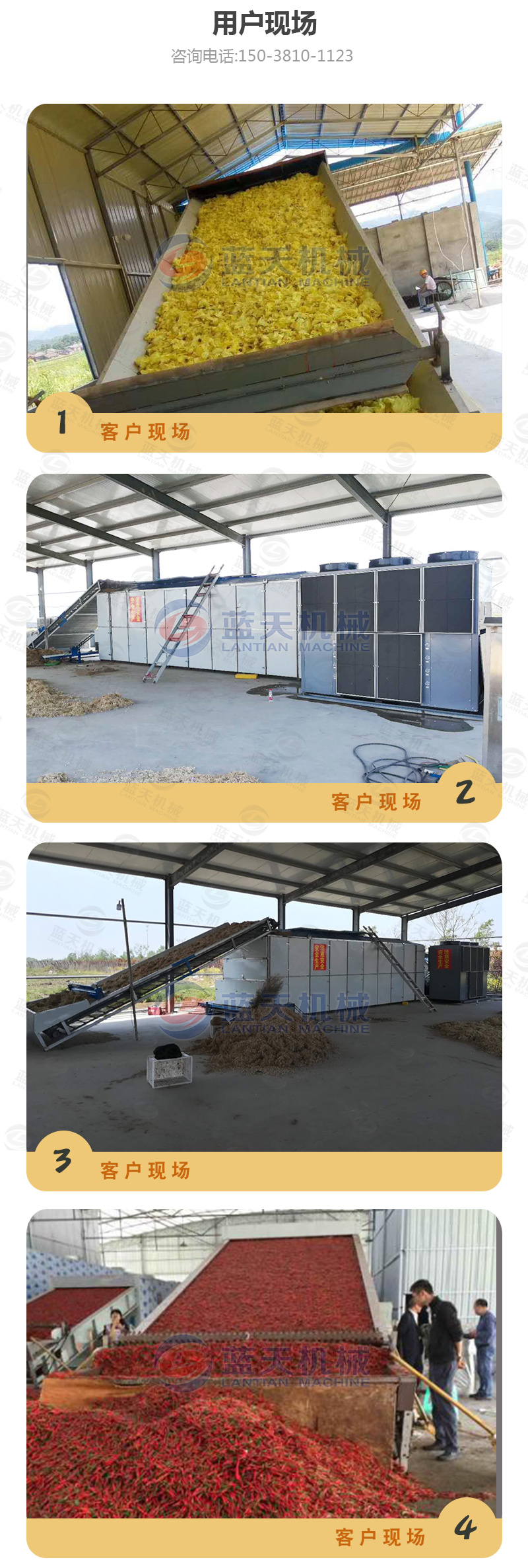 山藥片網(wǎng)帶式烘干機(jī)用戶現(xiàn)場