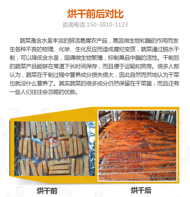 地瓜干網(wǎng)帶式烘干機烘干前后對比