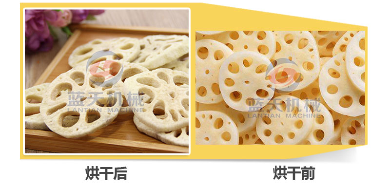 地瓜干網(wǎng)帶式烘干機烘干前后對比