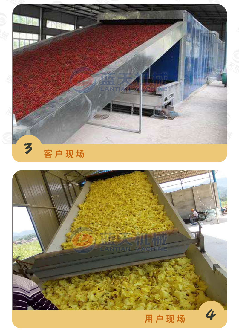 地瓜干網(wǎng)帶式烘干機用戶現(xiàn)場