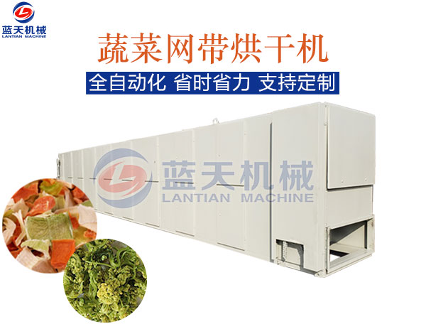 蔬菜網(wǎng)帶烘干機