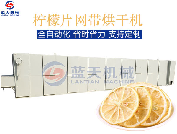 檸檬片網(wǎng)帶烘干機(jī)