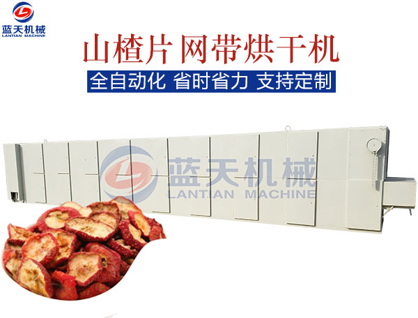 山楂片網(wǎng)帶烘干機(jī)