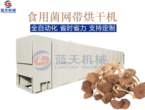 食用菌網(wǎng)帶烘干機(jī)