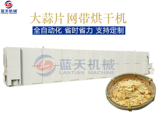 大蒜片網(wǎng)帶烘干機