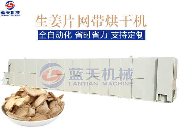 生姜片網(wǎng)帶烘干機