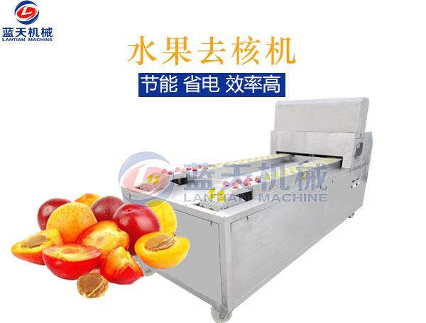 水果去核機