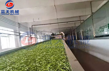 山西黃花菜網(wǎng)帶烘干機(jī)客戶現(xiàn)場(chǎng)