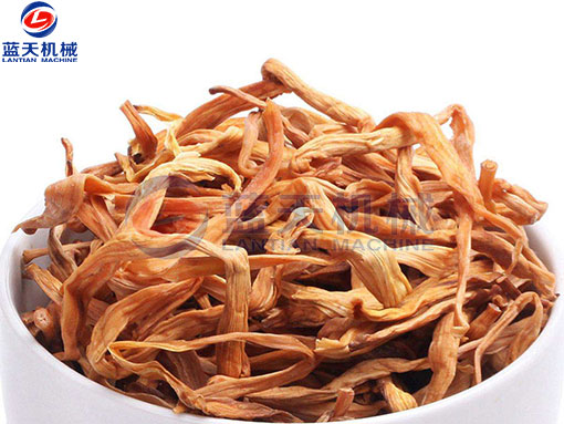 黃花菜網(wǎng)帶烘干機烘干工藝